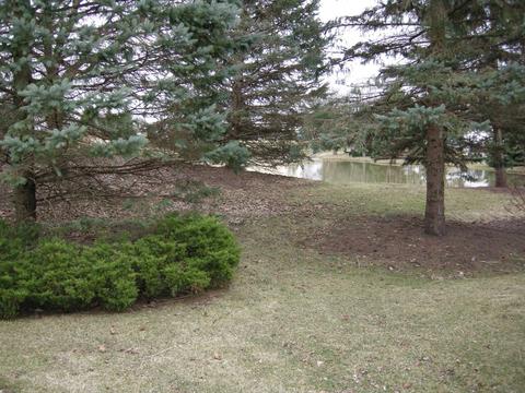 525 Rose Ln, Bartlett, IL 60103 photo 41