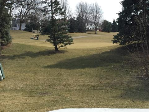 525 Rose Ln, Bartlett, IL 60103 photo 45