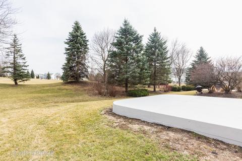 525 Rose Ln, Bartlett, IL 60103 photo 21