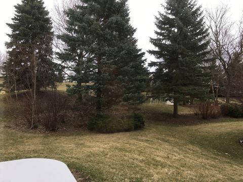 525 Rose Ln, Bartlett, IL 60103 photo 46