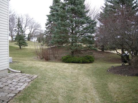 525 Rose Ln, Bartlett, IL 60103 photo 42