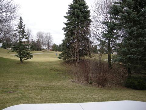 525 Rose Ln, Bartlett, IL 60103 photo 43