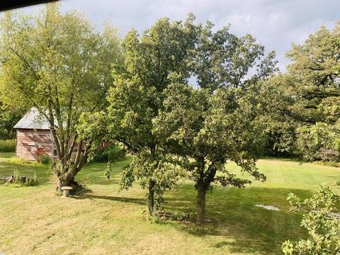884 E 1200n Rd, Melvin, IL 60952 photo 15