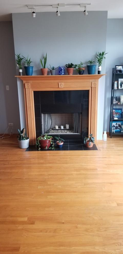 641 E Pershing Rd #203, Chicago, IL 60653 photo 8