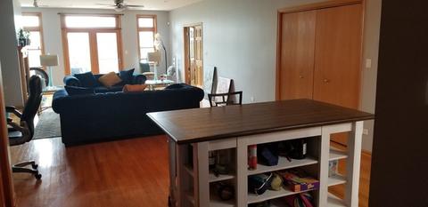 641 E Pershing Rd #203, Chicago, IL 60653 photo 7