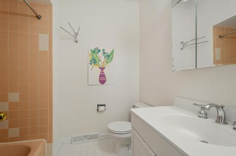 9252 Hamlin Ave, Des Plaines, IL 60016 photo 10