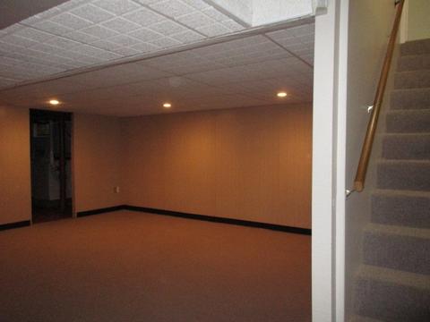 1209 Riordan St, Normal, IL 61761 photo 13