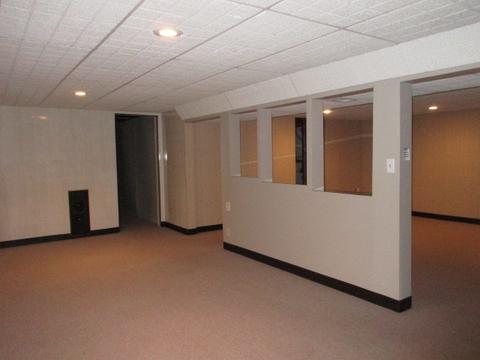1209 Riordan St, Normal, IL 61761 photo 19