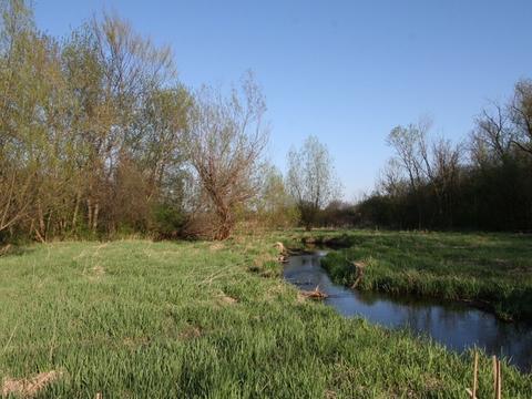 6 N757 Dunham Rd, Wayne, IL 60184 photo 9