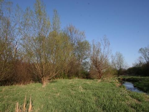 6 N757 Dunham Rd, Wayne, IL 60184 photo 11