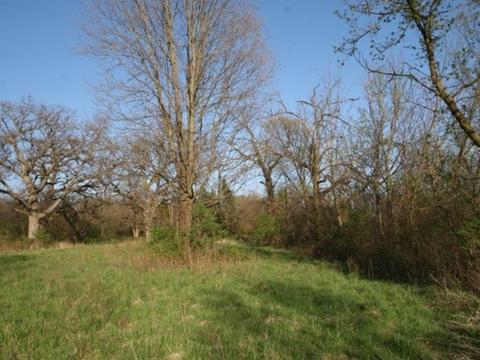 6 N757 Dunham Rd, Wayne, IL 60184 photo 10
