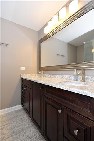 461 Harvard Ln, Bartlett, IL 60103 photo 24