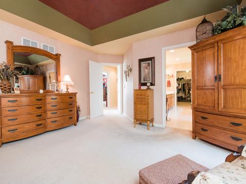 6702 Burning Tree Cir, Mchenry, IL 60050 photo 18