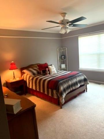 6702 Burning Tree Cir, Mchenry, IL 60050 photo 23