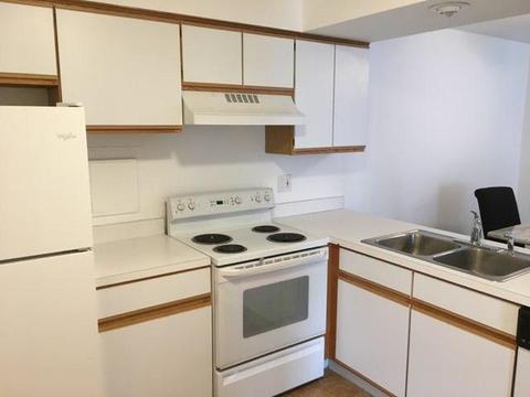 1906 Plum Grove Rd #2A, Rolling Meadows, IL 60008 photo 13