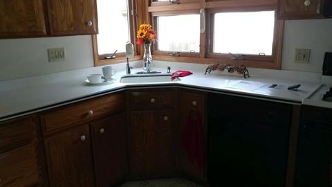 179 S Edison Ave, Elgin, IL 60123 photo 8