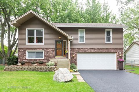 19 Walnut Ln, Algonquin, IL 60102 photo 2