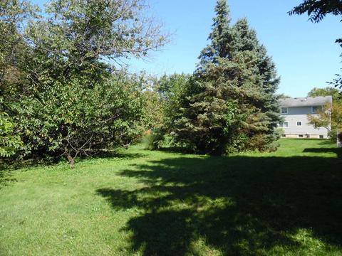444 Cherry Ct, Roselle, IL 60172 photo 20