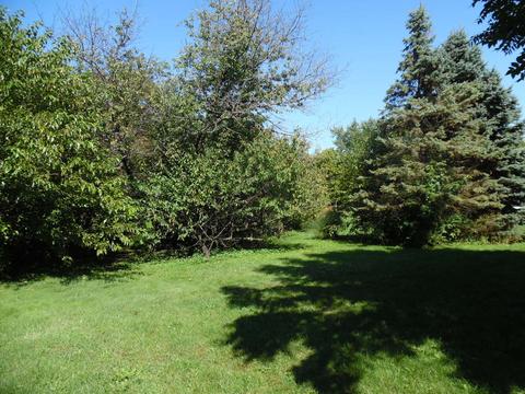 444 Cherry Ct, Roselle, IL 60172 photo 21