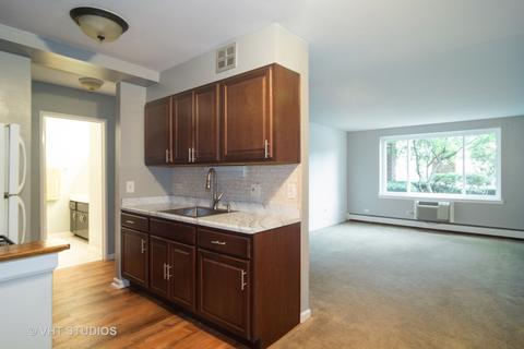 1500 Robin Cir #111, Hoffman Estates, IL 60169 photo 5