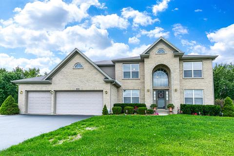 16424 Hidden River Cir, Plainfield, IL 60586 photo 1