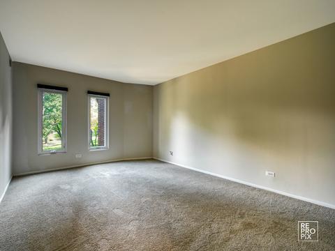 1430 Sandstone Dr #213, Wheeling, IL 60090 photo 10