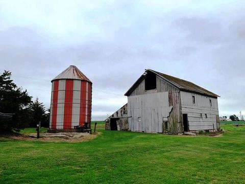 1563 E 28th Rd, Ransom, IL 60470 photo 27
