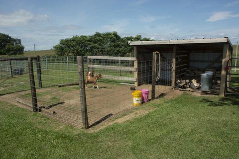 15755 Hillside Rd, Morrison, IL 61270 photo 22