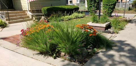 1541 E Algonquin Rd, Des Plaines, IL 60016 photo 28