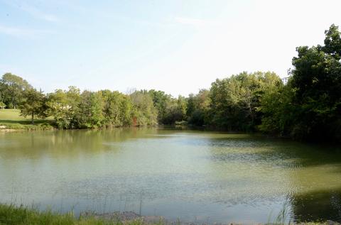 280 County Road 2225 E Rd, Carlock, IL 61725 photo 62