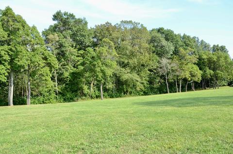 280 County Road 2225 E Rd, Carlock, IL 61725 photo 60