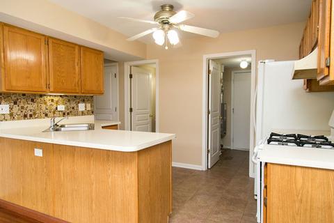 378 Monarch Birch Ct, Bartlett, IL 60103 photo 9
