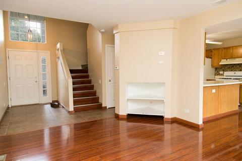 378 Monarch Birch Ct, Bartlett, IL 60103 photo 3