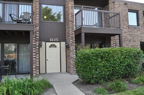 1135 Pleasant Run Dr #710, Wheeling, IL 60090 photo 1