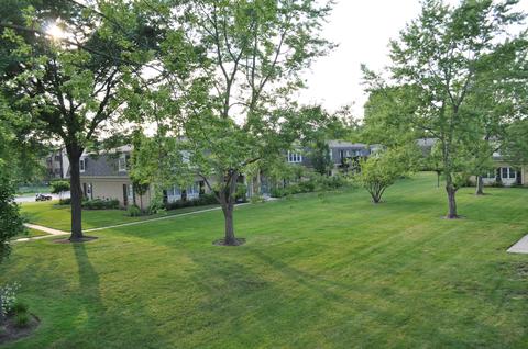 1135 Pleasant Run Dr #710, Wheeling, IL 60090 photo 11