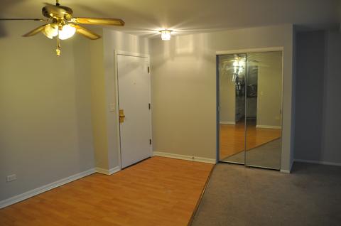 1135 Pleasant Run Dr #710, Wheeling, IL 60090 photo 9