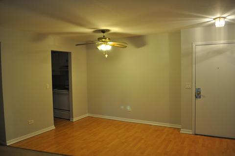 1135 Pleasant Run Dr #710, Wheeling, IL 60090 photo 8