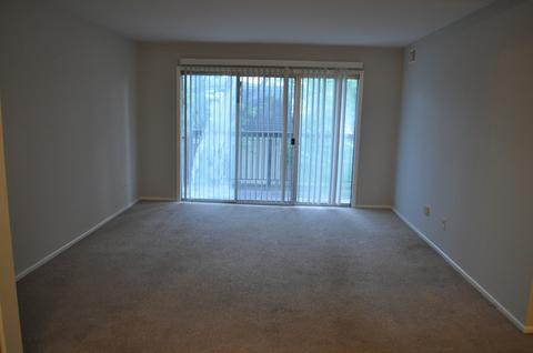 1135 Pleasant Run Dr #710, Wheeling, IL 60090 photo 2