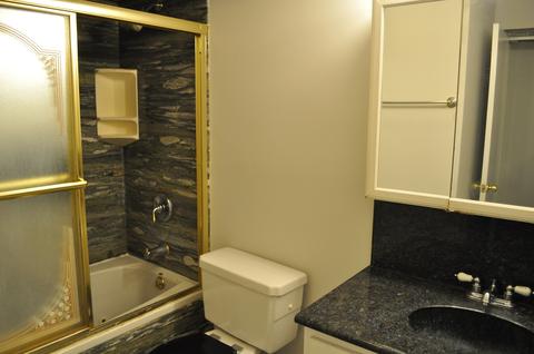1135 Pleasant Run Dr #710, Wheeling, IL 60090 photo 7
