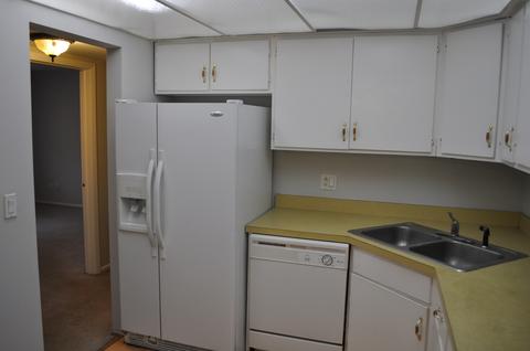 1135 Pleasant Run Dr #710, Wheeling, IL 60090 photo 5