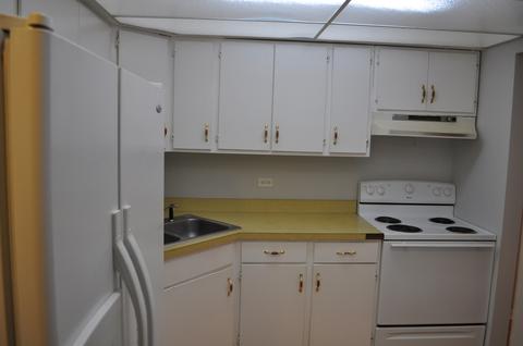 1135 Pleasant Run Dr #710, Wheeling, IL 60090 photo 6
