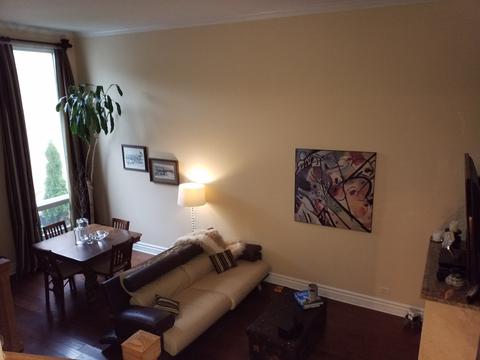 359 Cedar Tree Ct, Hoffman Estates, IL 60169 photo 12