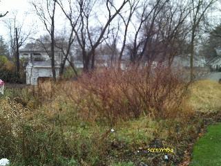 1302 Ardmore Dr, Round Lake Beach, IL 60073