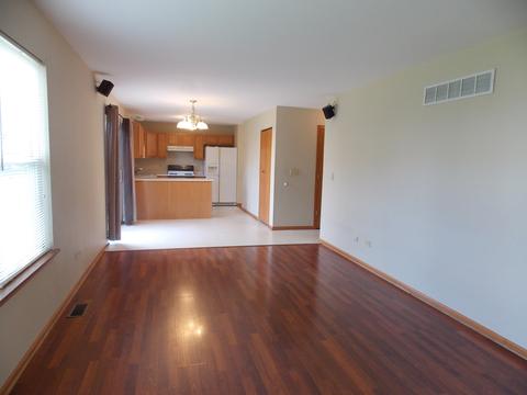 1820 Arbor Falls Dr, Plainfield, IL 60586 photo 11