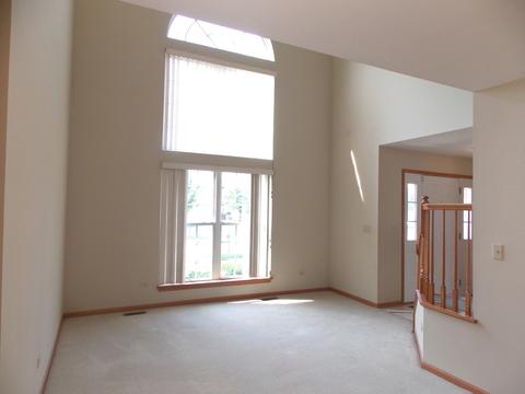 1820 Arbor Falls Dr, Plainfield, IL 60586 photo 3
