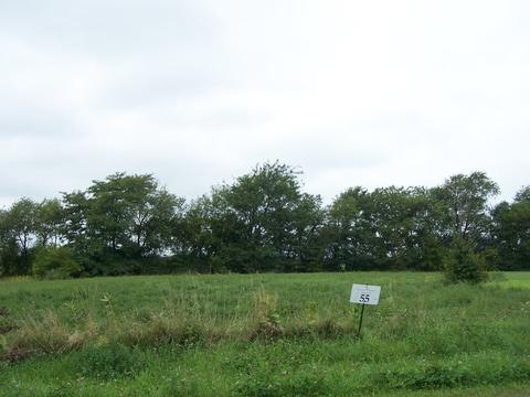 5907 Moraine Trl, Ringwood, IL 60072