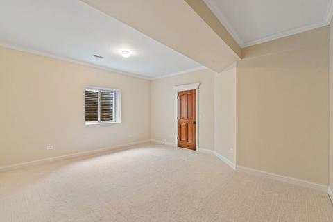 1122 Thunderbird Ln, Naperville, IL 60563 photo 36