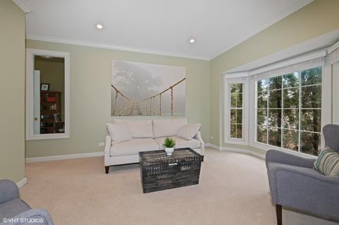 1928 Wicklow Rd, Naperville, IL 60564 photo 4