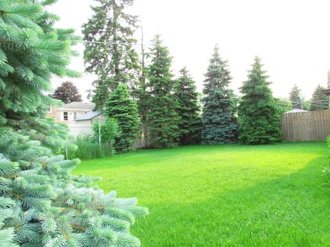 455 Dover Dr, Des Plaines, IL 60018 photo 42