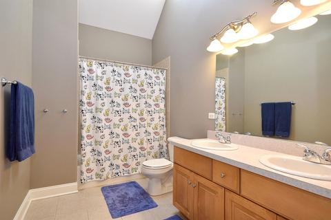 26239 Oakcrest Ln, Plainfield, IL 60585 photo 23